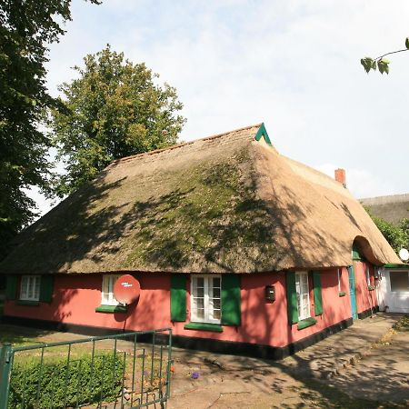 Unterm Rohrdach Apartment Wustrow  Bagian luar foto